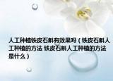 人工种植铁皮石斛有效果吗（铁皮石斛人工种植的方法 铁皮石斛人工种植的方法是什么）