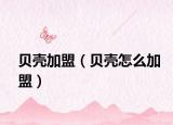 贝壳加盟（贝壳怎么加盟）