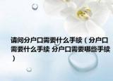 请问分户口需要什么手续（分户口需要什么手续 分户口需要哪些手续）