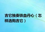吉它独奏铁血丹心（怎样选购吉它）