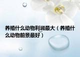 养殖什么动物利润最大（养殖什么动物前景最好）