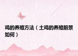 鸡的养殖方法（土鸡的养殖前景如何）