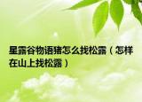 星露谷物语猪怎么找松露（怎样在山上找松露）