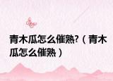 青木瓜怎么催熟?（青木瓜怎么催熟）