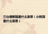 兰台谱新篇是什么意思（小树洞是什么意思）