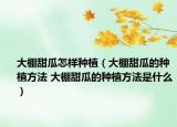 大棚甜瓜怎样种植（大棚甜瓜的种植方法 大棚甜瓜的种植方法是什么）