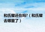 和氏璧还在吗?（和氏璧去哪里了）