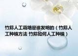 竹荪人工栽培是谁发明的（竹荪人工种植方法 竹荪如何人工种植）