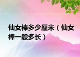 仙女棒多少厘米（仙女棒一般多长）