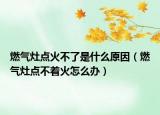 燃气灶点火不了是什么原因（燃气灶点不着火怎么办）