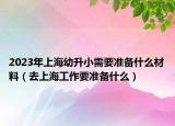 2023年上海幼升小需要准备什么材料（去上海工作要准备什么）