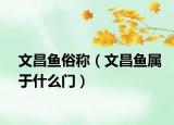 文昌鱼俗称（文昌鱼属于什么门）
