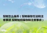 梨树怎么保养（梨树保存方法和注意事项 梨树如何保存和注意事项）