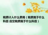 税费计入什么费用（税费属于什么科目 应交税费属于什么科目）