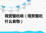 观赏蟹吃啥（观赏蟹吃什么食物）