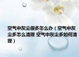 空气中灰尘很多怎么办（空气中灰尘多怎么清理 空气中灰尘多如何清理）