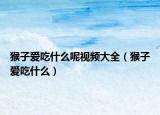 猴子爱吃什么呢视频大全（猴子爱吃什么）