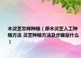木灵芝怎样种植（原木灵芝人工种植方法 灵芝种植方法及步骤是什么）