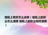 地毯上有灰怎么去除（地毯上的灰尘怎么清理 地毯上的灰尘如何清理）