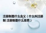 注册制是什么含义（什么叫注册制 注册制是什么意思）