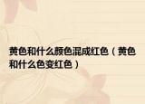黄色和什么颜色混成红色（黄色和什么色变红色）