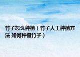 竹子怎么种植（竹子人工种植方法 如何种植竹子）