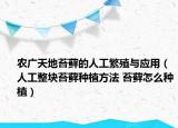 农广天地苔藓的人工繁殖与应用（人工整块苔藓种植方法 苔藓怎么种植）