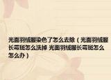 光面羽绒服染色了怎么去除（光面羽绒服长霉斑怎么洗掉 光面羽绒服长霉斑怎么怎么办）