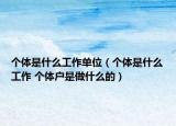 个体是什么工作单位（个体是什么工作 个体户是做什么的）