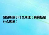 跷跷板属于什么原理（跷跷板是什么现象）