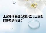 玉露如何养殖长得好些（玉露如何养殖长得好）