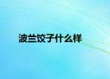 波兰饺子什么样