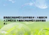 盆栽西红柿的种植方法和管理技术（大棚西红柿人工种植方法 大棚西红柿的种植方法和管理技术）
