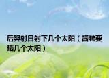 后羿射日射下几个太阳（酱鸭要晒几个太阳）