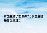 水壶生锈了怎么办?（水壶生锈是什么原理）