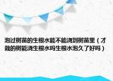 泡过树苗的生根水能不能浇到树苗里（才栽的树能浇生根水吗生根水泡久了好吗）