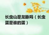 长虫山是龙脉吗（长虫蛋是谁的蛋）