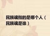 民族魂指的是哪个人（民族魂是谁）