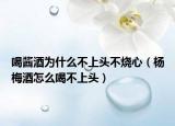喝酱酒为什么不上头不烧心（杨梅酒怎么喝不上头）