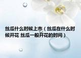 丝瓜什么时候上市（丝瓜在什么时候开花 丝瓜一般开花的时间）