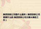 融资担保公司靠什么盈利（融资担保公司是做什么的 融资担保公司主要从事的工作）