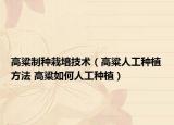 高粱制种栽培技术（高粱人工种植方法 高粱如何人工种植）