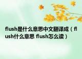 flush是什么意思中文翻译成（flush什么意思 flush怎么读）
