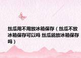 丝瓜用不用放冰箱保存（丝瓜不放冰箱保存可以吗 丝瓜能放冰箱保存吗）