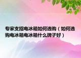 专家支招电冰箱如何选购（如何选购电冰箱电冰箱什么牌子好）