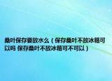 桑叶保存要放水么（保存桑叶不放冰箱可以吗 保存桑叶不放冰箱可不可以）