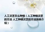 人工灵芝怎么种植（人工种植灵芝的方法 人工种植灵芝的方法简单介绍）