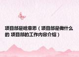 项目部是啥意思（项目部是做什么的 项目部的工作内容介绍）