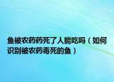 鱼被农药药死了人能吃吗（如何识别被农药毒死的鱼）