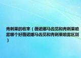 青刺果的收率（薇诺娜马齿苋和青刺果喷雾哪个好薇诺娜马齿苋和青刺果喷雾区别）